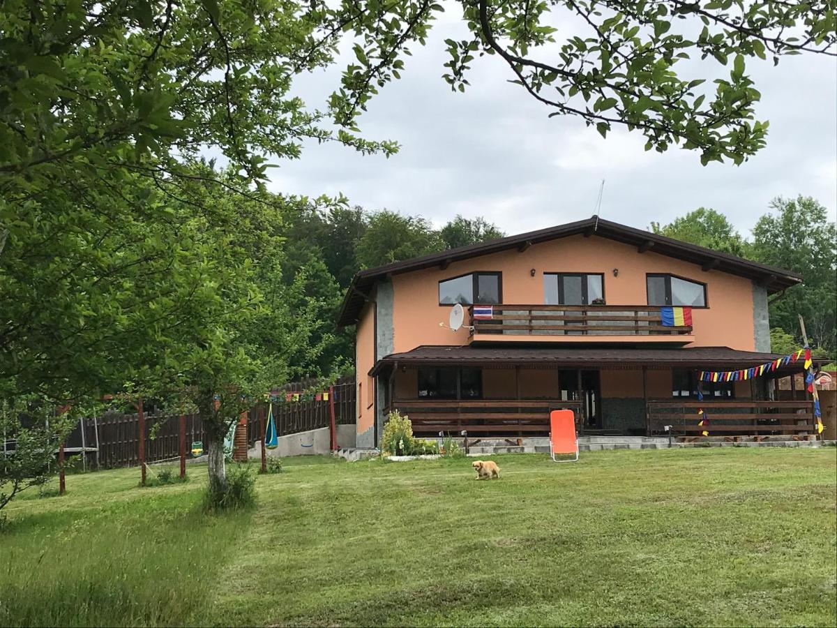 Casa Din Padure